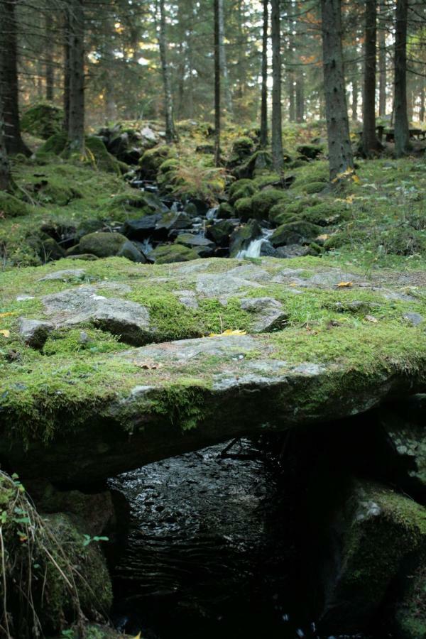 Draengstugan I Humla Blidsberg Εξωτερικό φωτογραφία