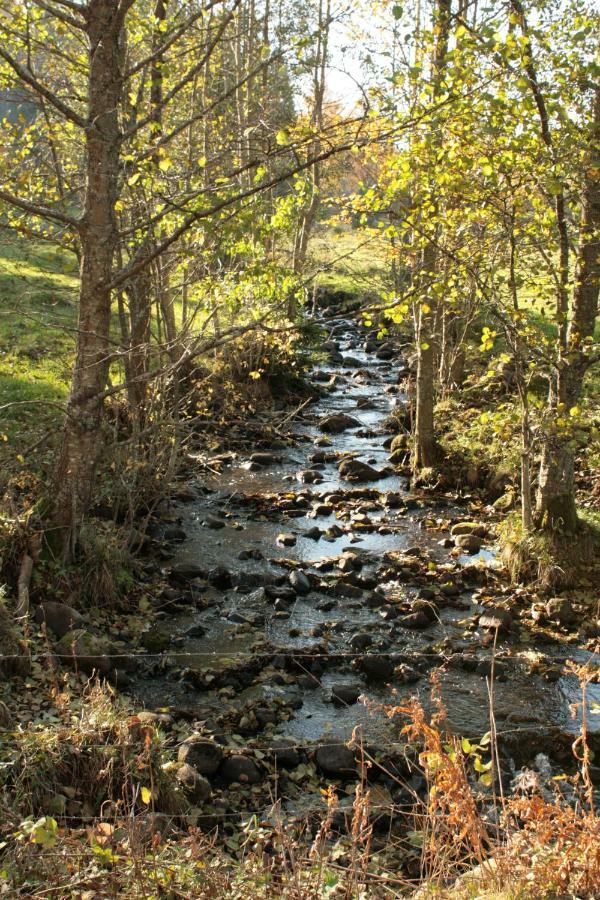Draengstugan I Humla Blidsberg Εξωτερικό φωτογραφία